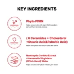 Cell Fusion C® • Laser Sunscreen 100 SPF 50+/PA +++ • Krem z wysoką ochroną przeciwsłoneczną • 50ml - obrazek 4